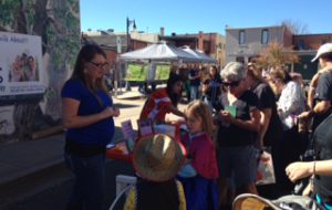 Halloween Festivities